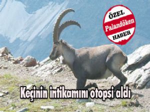Keçinin intikamını otopsi aldı