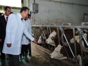 DAP VE ÇİFTÇİ ÖRGÜTLERİNDEN ÇİFTÇİLERE BEDELSİZ PROJE DESTEĞİ..