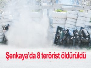 Şenkaya'da 8 terörist öldürüldü