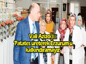 Patates üreterek Erzurum'u kalkındıramayız