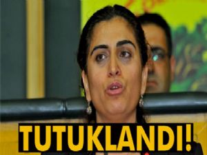 DBP Eş Genel Başkanı Sebahat Tuncel tutuklandı
