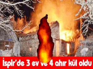 İspir'de 3 ev ve 4 ahır kül oldu