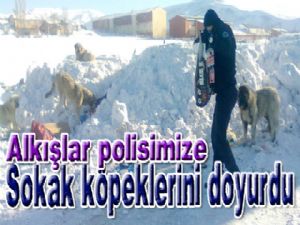 Polis sokak köpeklerini doyurdu