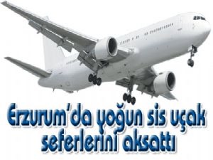 Erzurum'da yoğun sis uçak seferlerini aksattı