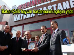 Bakan Çelik: "Siyasetçi bilimin ayağına gelecek"