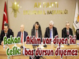 Bakan Çelik: "Aklım var diyen iki baş dursun diyemez"