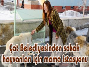 Çat Belediyesinden sokak hayvanları için mama istasyonu