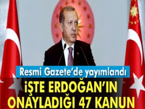 Cumhurbaşkanı Erdoğan'ın onayladığı kanunlar Resmi Gazete'de