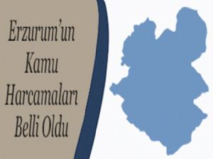 Rekor Erzurum'un