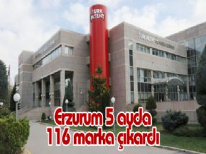 Erzurum 5 ayda 116 marka çıkardı
