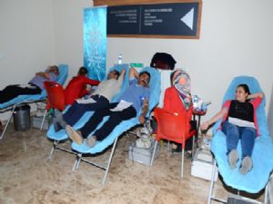 Palandöken Belediyesi personeli kan verdi