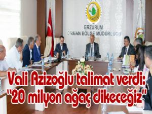 Pasinler Savaşı'nın 969. yıldönümü çeşitli etkinliklerle kutlanacak
