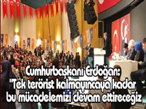 Cumhurbaşkanı Erdoğan: "Tek terörist kalmayıncaya kadar bu mücadelemizi devam ettireceğiz