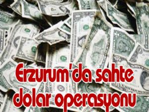 Erzurum'da sahte dolar operasyonu