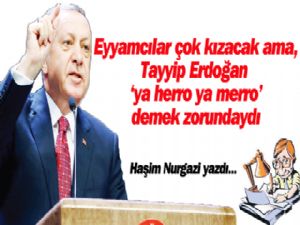 Eyyamcılar çok kızacak, ama Tayyip Erdoğan, "ya herro ya merro" demek zorundaydı