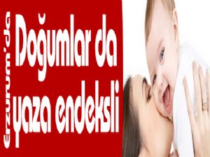 Erzurum'da doğumlar da yaza endeksli