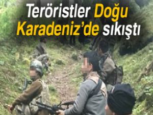 Teröristler Doğu Karadeniz'de sıkıştı