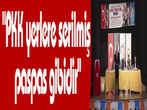 Akdağ: "PKK yerlere serilmiş paspas gibidir"