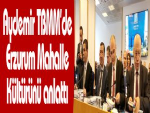 Aydemir TBMM'de Erzurum Mahalle Kültürünü anlattı