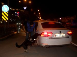 Erzurum polisinden gece yarısı "huzur" uygulaması