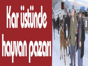 Kar üstünde hayvan pazarı