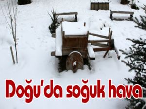 Doğu'da soğuk hava