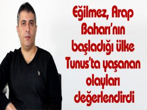 Eğilmez, Arap Baharının başladığı ülke Tunusta yaşanan olayları değerlendirdi