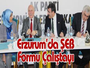 Erzurumda ŞEB Formu Çalıştayı