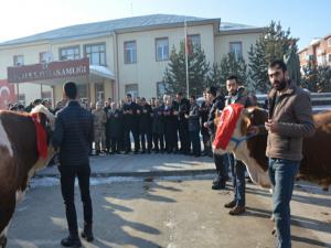 Aşkaleden Afrindeki Mehmetçiğe 2 adet tosun gönderdiler