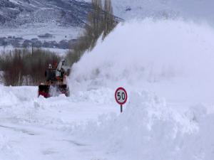 Doğu Anadoluda kar ve tipi hayatı felç etti