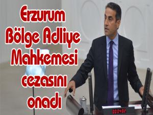 HDP Grup Başkan vekili Yıldırıma verilen 1 yıl 2 ay hapis cezası onandı