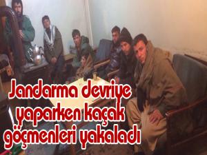 Jandarma devriye yaparken kaçak göçmenleri yakaladı