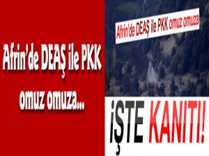 Afrinde DEAŞ ile PKK omuz omuza