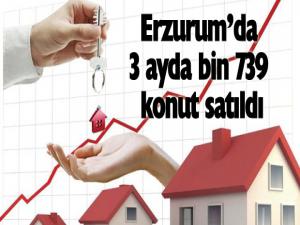Erzurumda 3 ayda bin 739 konut satıldı