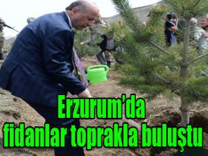Erzurumda fidanlar toprakla buluştu