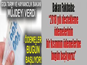 Gıda Tarım ve Hayvancılık Bakanı müjdeyi verdi! Ödemeler bugün başlıyor