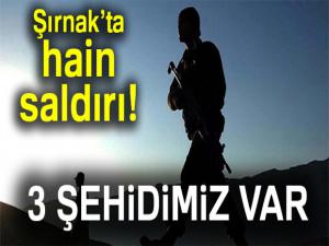 Şırnakta hain saldırı: 3 şehit, 1 yaralı