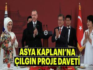Asya Kaplanına çılgın proje daveti