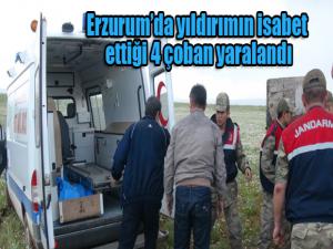 Erzurumda yıldırımın isabet ettiği 4 çoban yaralandı