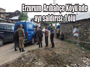 Erzurumda ayı saldırısı: 1 ölü