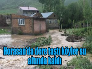 Horasanda dere taştı köyler su altında kaldı