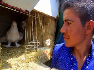 Kuşu kurtarmak isterken kolların kaybeden Ramazandan iyi haber