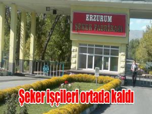 Şeker işçileri ortada kaldı
