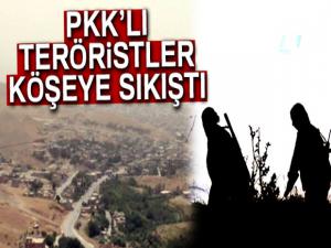 Teröristler Soranda köşeye sıkıştı