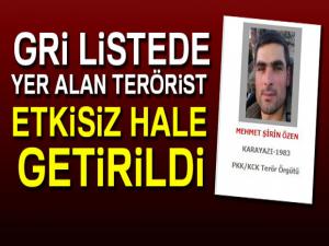 Bingölde gri listede bulunan terörist etkisiz hale getirildi