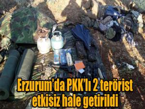 Erzurumda PKKlı 2 terörist etkisiz hale getirildi
