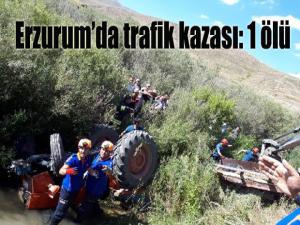 Erzurumda trafik kazası: 1 ölü