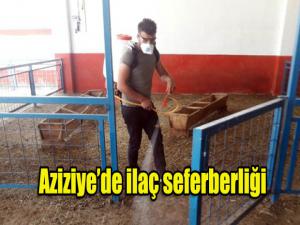 Aziziyede ilaçlama seferberliği