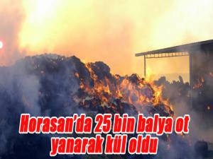 Horasanda 25 bin balya ot yanarak kül oldu