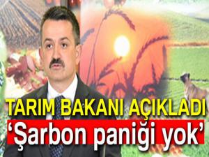 Tarım Bakanı Pakdemirli açıkladı: "Şarbon paniği yok"